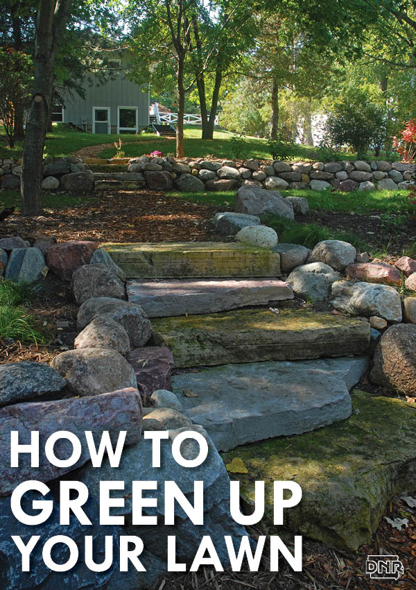 Tips for greening up your lawn care to help the environment (and save you money) | Iowa DNR